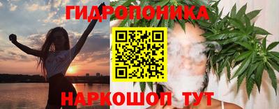 Альфа ПВП Братск
