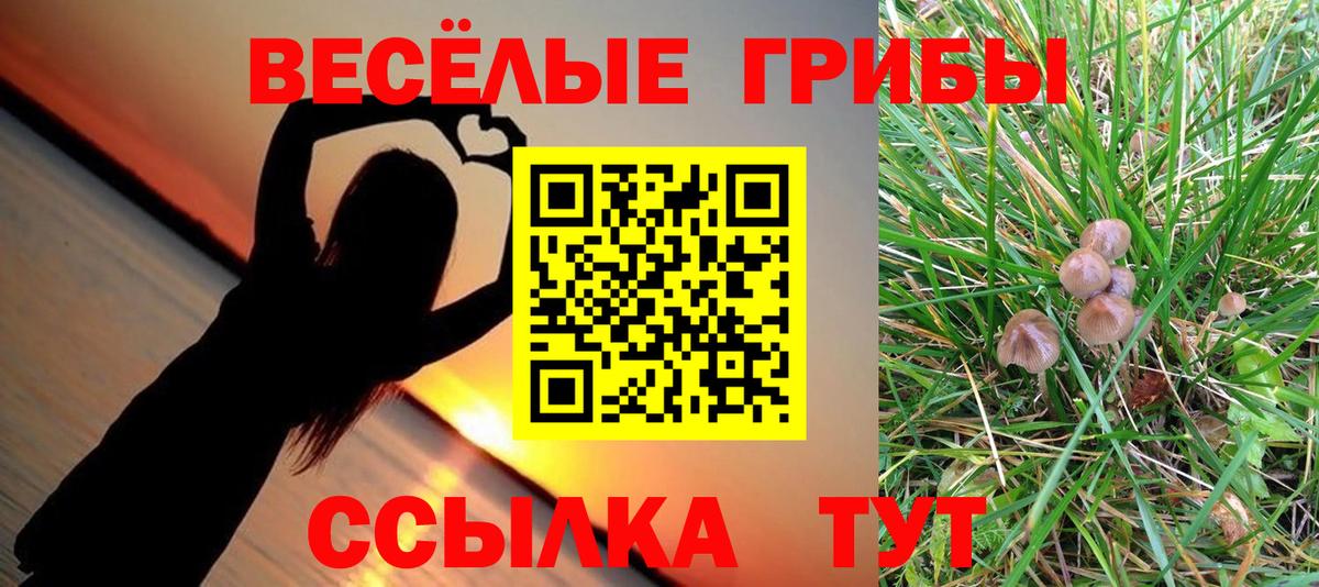 Галлюциногенные грибы Cubensis Алексин