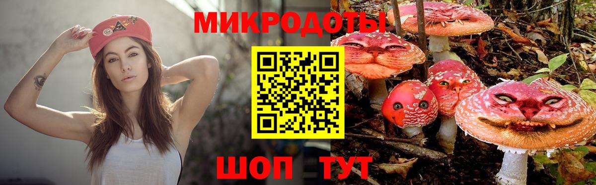 купить наркоту  Вход с VPN  Алексин  Псилоцибиновые грибы Psilocybine cubensis 